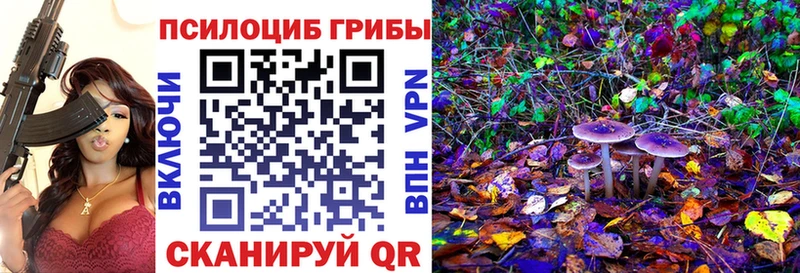 darknet состав  закладка  Талдом  Галлюциногенные грибы Psilocybe 